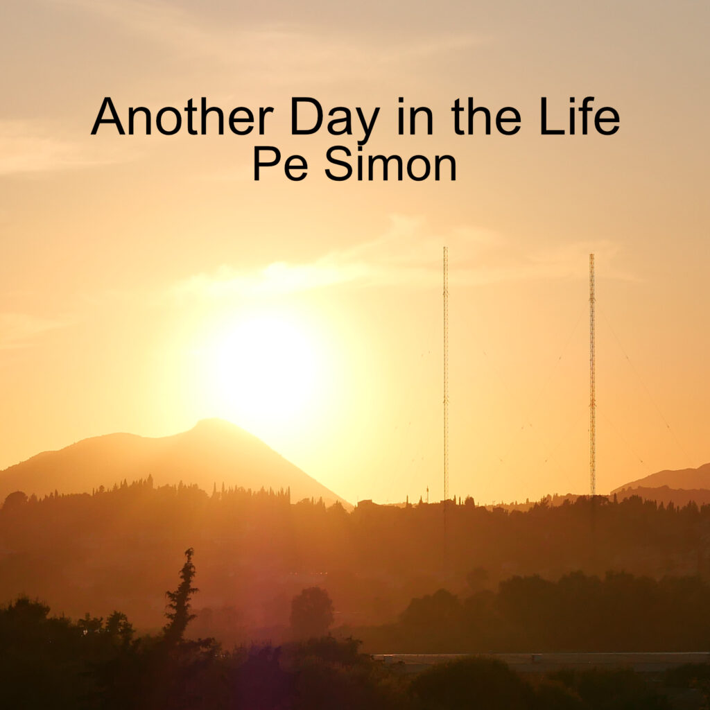 Cover Another Day in the Life Pe Simon